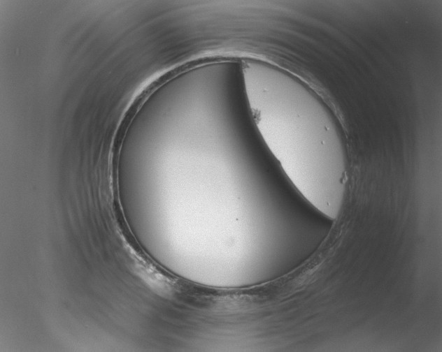 X0000078240988200611030915