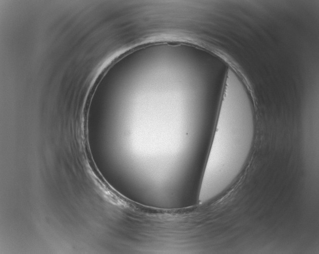 X0000078240996200611030914