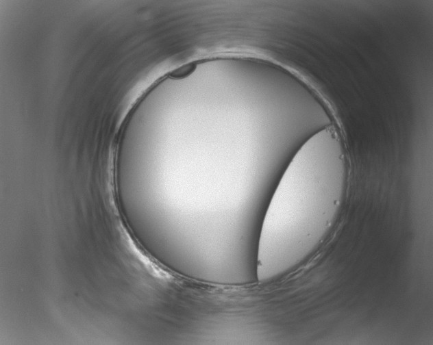 X0000078241006200611030914