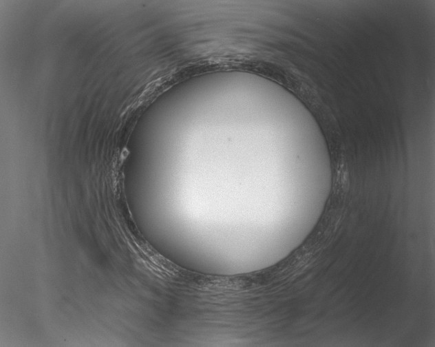 X0000078241012200611030913