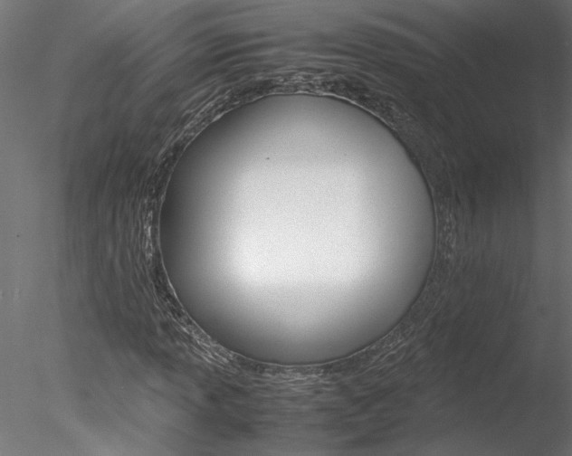 X0000078241013200611030914