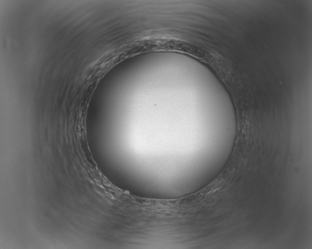 X0000078241014200611030914