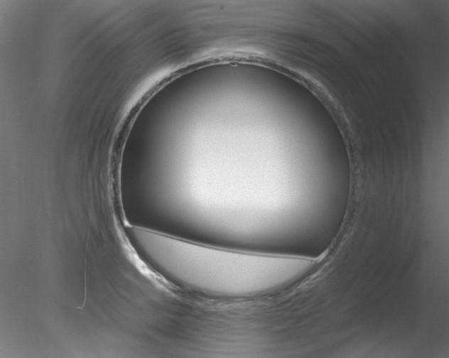 X0000078241038200611030914