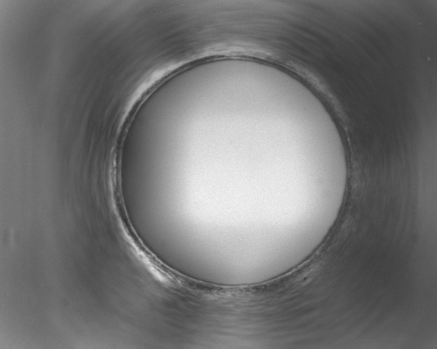 X0000078241040200611030914