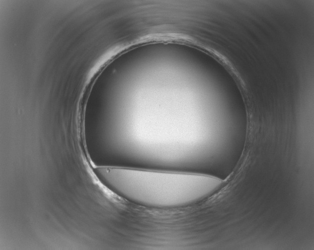 X0000078241046200611030914