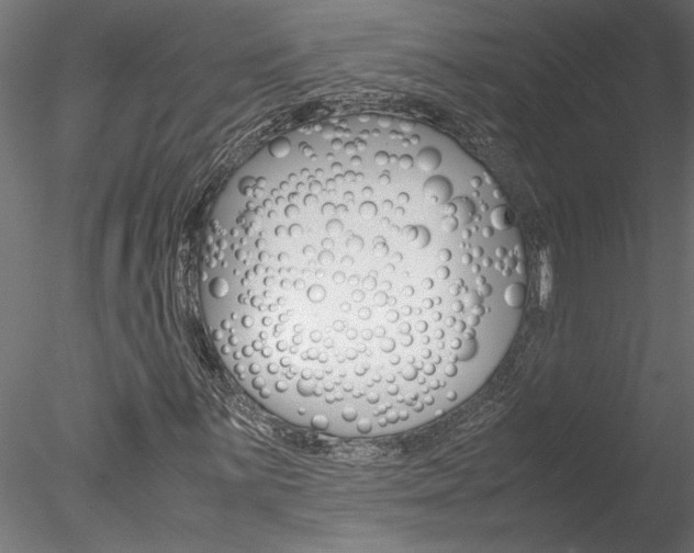 X0000078241059200611030913