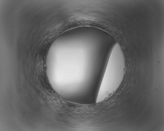 X0000078241061200611030913
