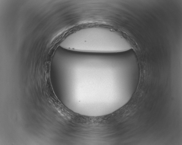 X0000078241064200611030913