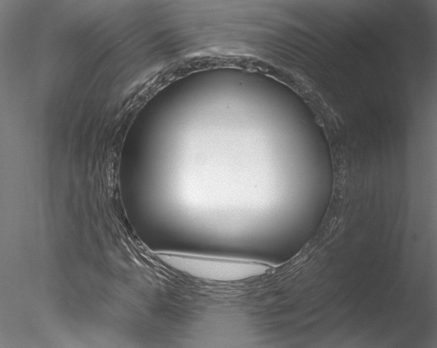 X0000078241110200611030912