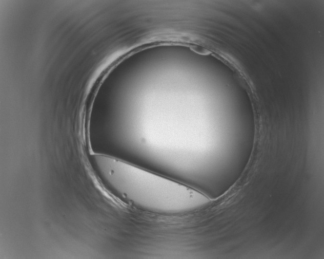 X0000078241128200611030912