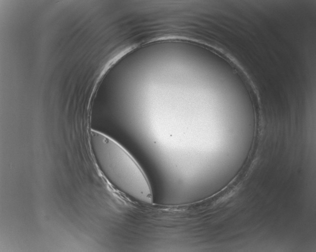 X0000078241145200611030912