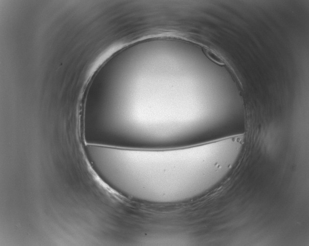 X0000078241151200611030913