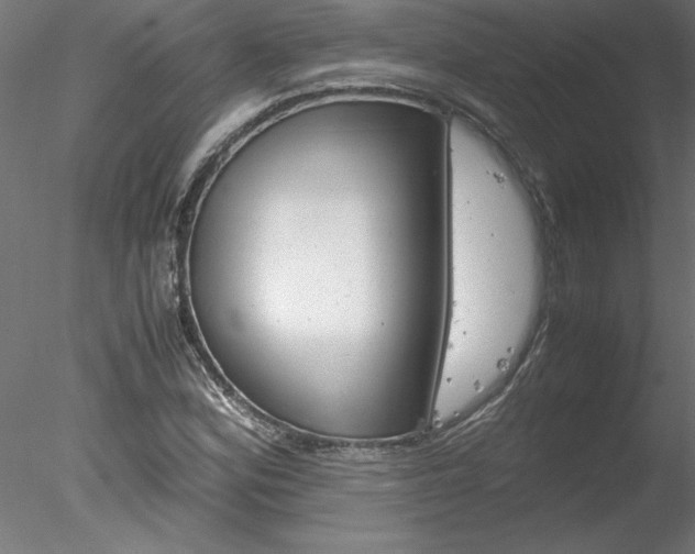 X0000078241164200611030912