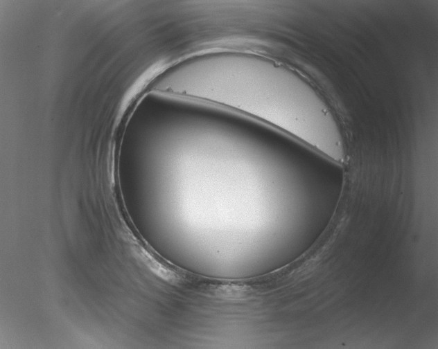 X0000078241180200611030911