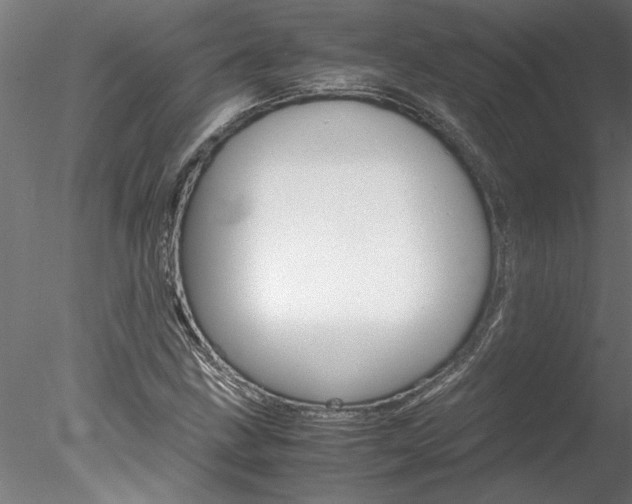 X0000078241211200611030910