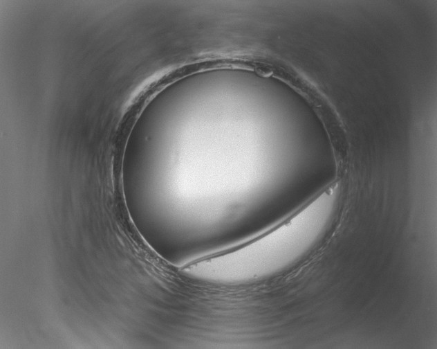 X0000078241214200611030910