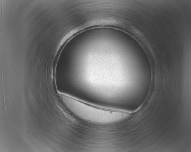 X0000078241226200611030911