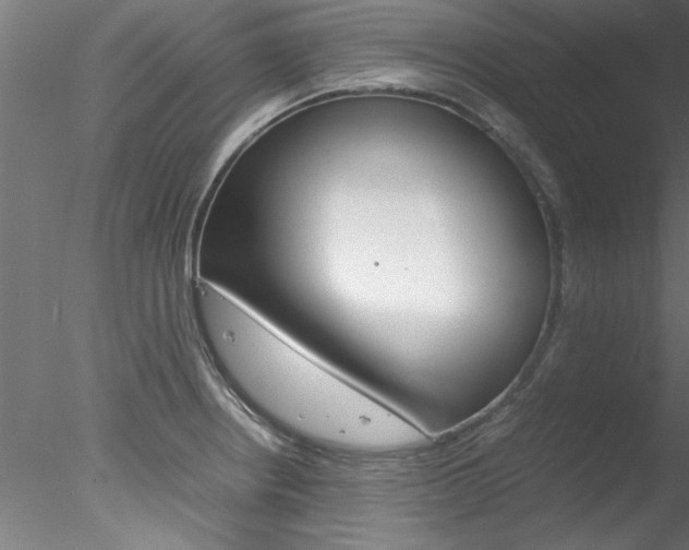 X0000078241234200611030911