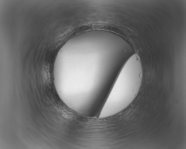 X0000078241252200611030910