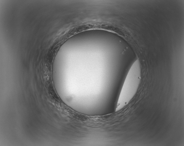 X0000078241253200611030910