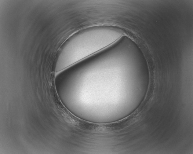 X0000078241265200611030910