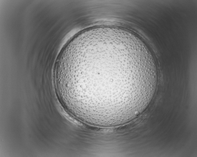 X0000078241283200611030910