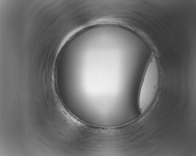 X0000078241288200611030910
