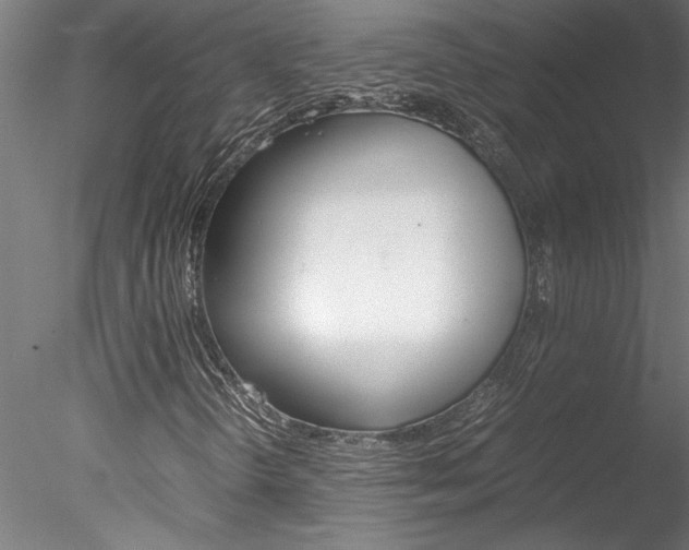 X0000078241298200611030909