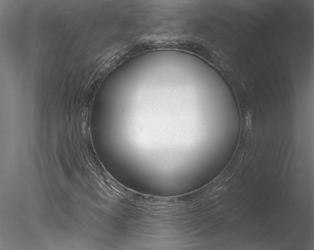 X0000078241300200611030909