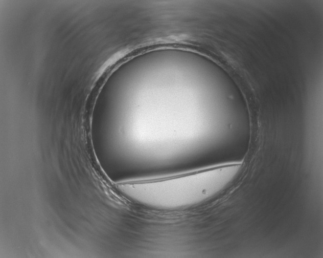 X0000078241308200611030909