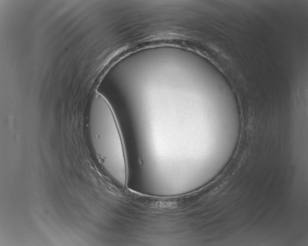 X0000078241313200611030909