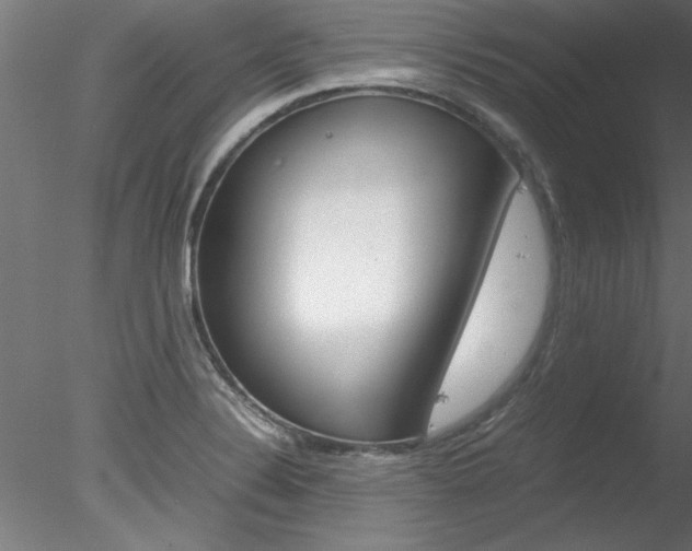 X0000078241324200611030909