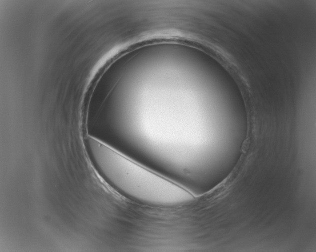 X0000078241326200611030909