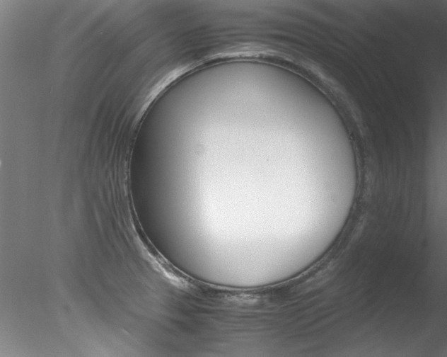 X0000078241329200611030909