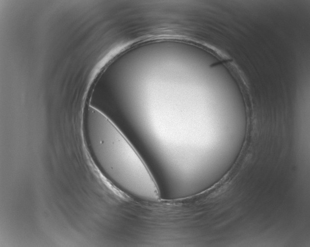 X0000078241333200611030909