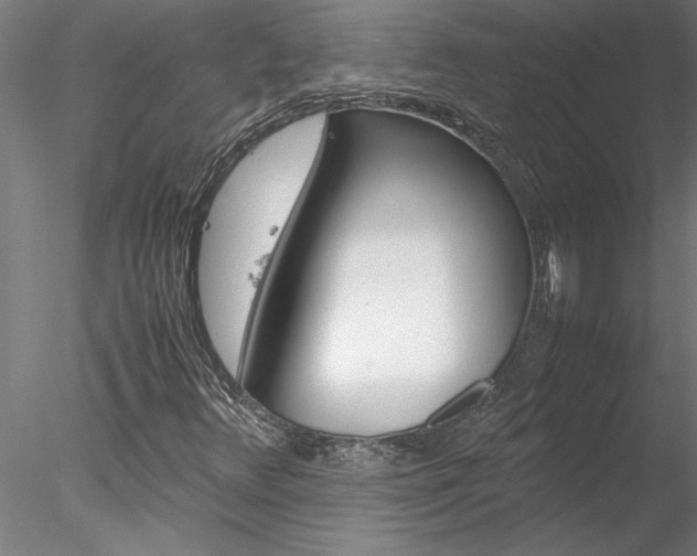 X0000078241348200611030909