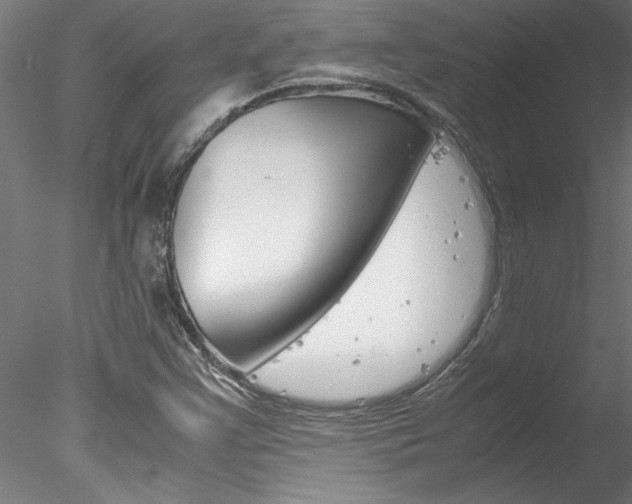 X0000078241355200611030908
