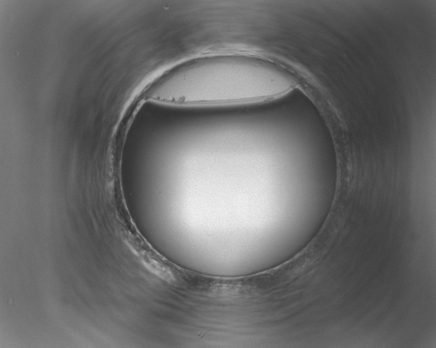 X0000078241364200611030908