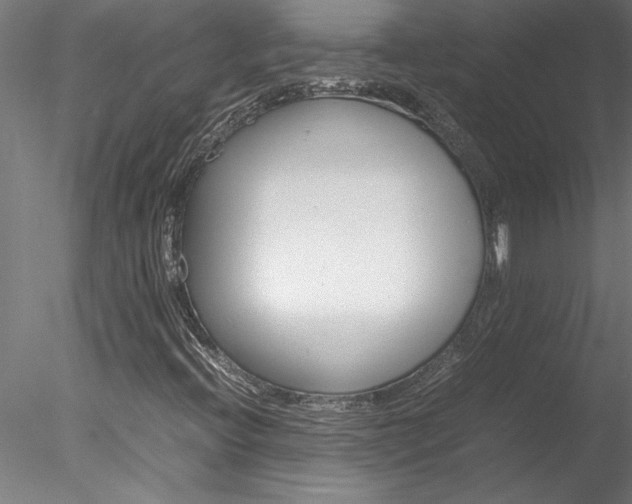 X0000078241396200611030907