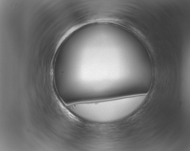 X0000078241428200611030908