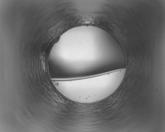 X0000078241442200611030907