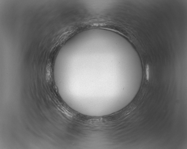 X0000078241444200611030907