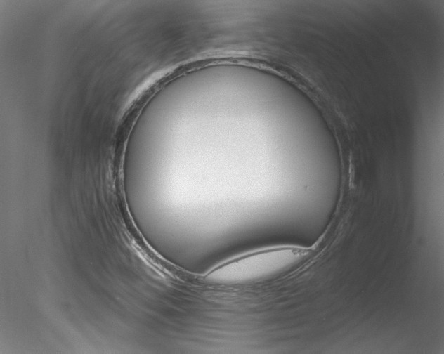 X0000078241452200611030907