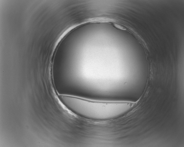 X0000078241484200611030906