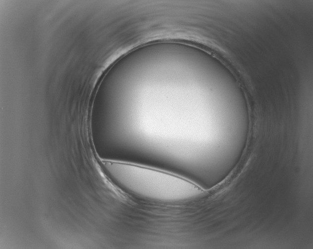 X0000078241513200611030906
