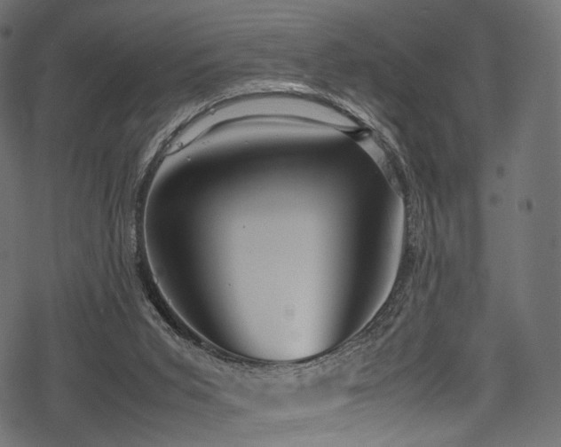 X0000078240015200611031121