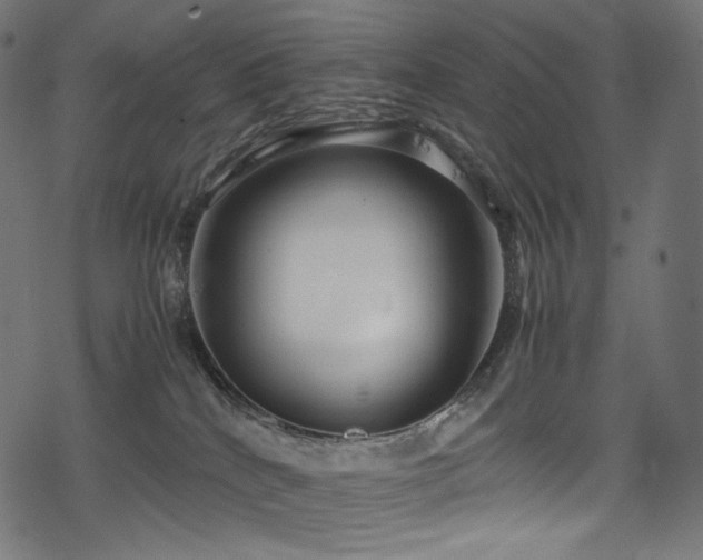 X0000078240040200611031121