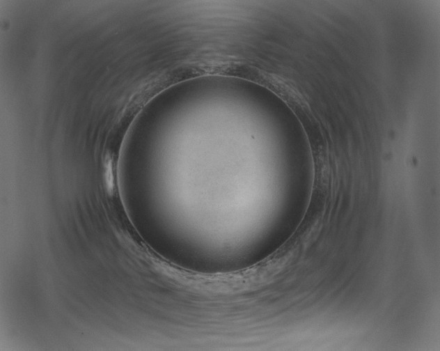 X0000078240042200611031121