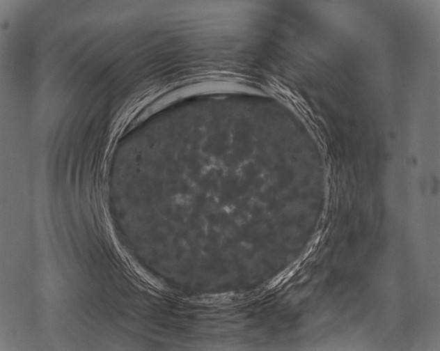 X0000078240049200611031120