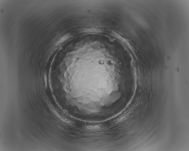 X0000078240061200611031120